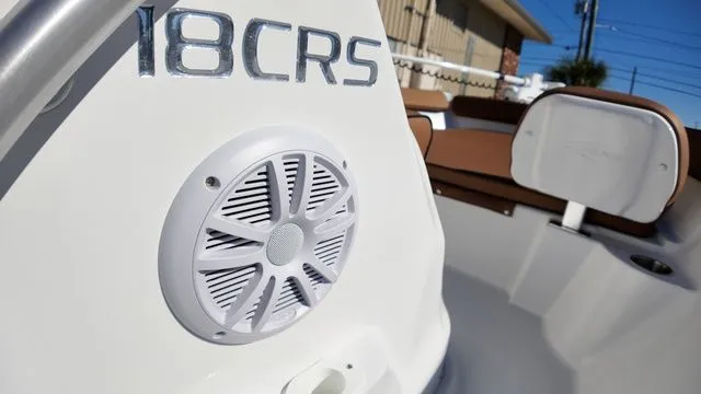 Slide: The Image of ALK2 18CRS 2026 - 31