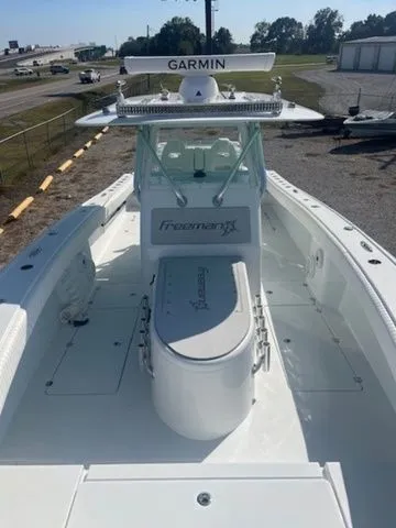 Slide: The Image of Freeman 34VH 2019 - 4