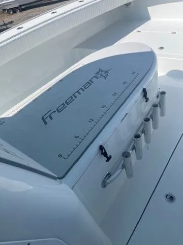 Slide: The Image of Freeman 34VH 2019 - 6