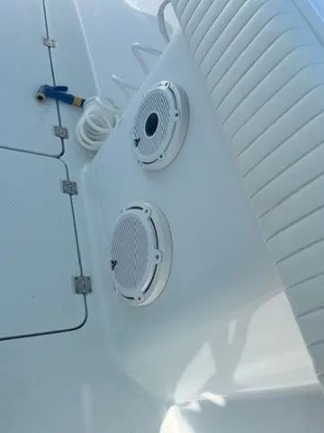 Slide: The Image of Freeman 34VH 2019 - 9