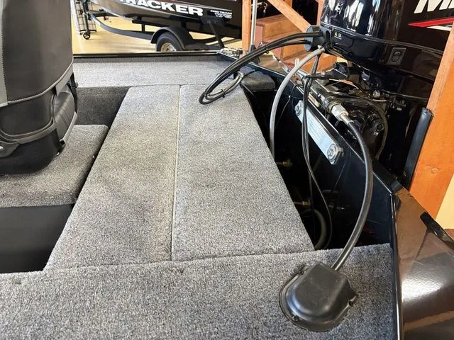 Slide: The Image of Tracker Panfish 17 2026 - 17