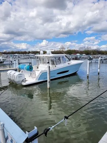 The Image of Regal 38 SAV 2023 - 1