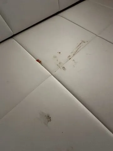 Slide: The Image of Regal 38 SAV 2023 - 37