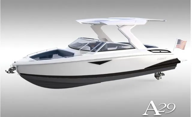 The Image of Cobalt A29 2026 - 1