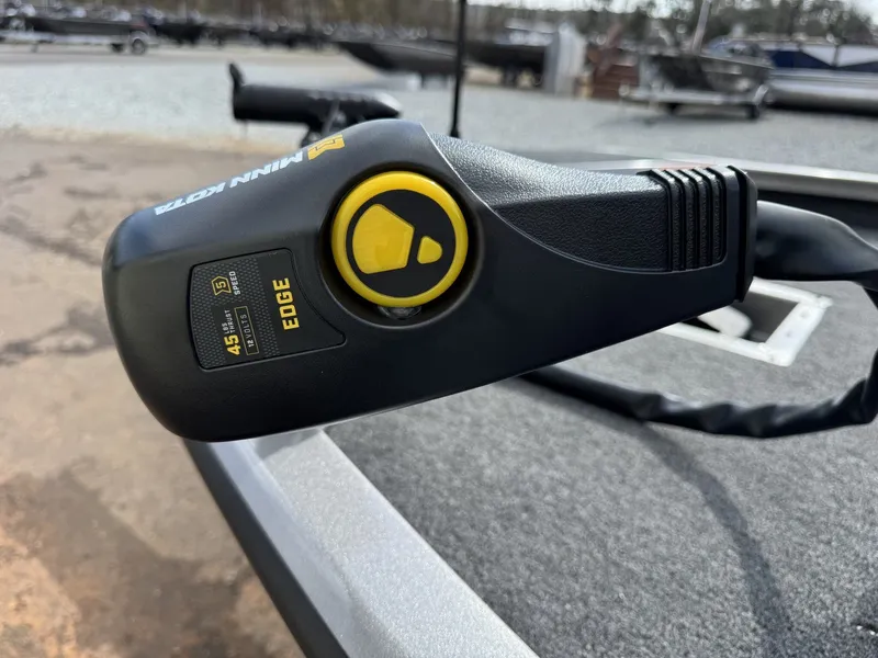 Slide: The Image of Lowe Stinger 195 2026 - 6