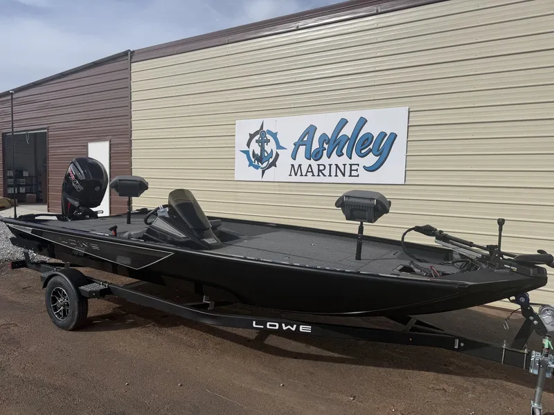 Slide: The Image of Lowe Stinger 195 2026 - 1