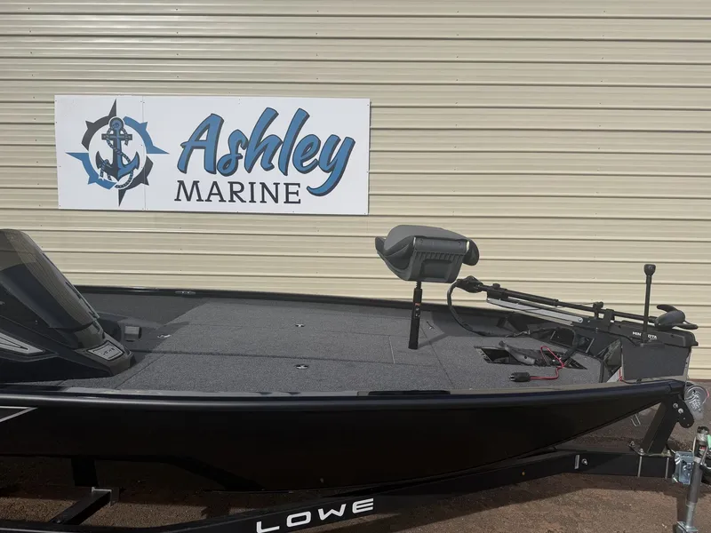 Slide: The Image of Lowe Stinger 195 2026 - 6