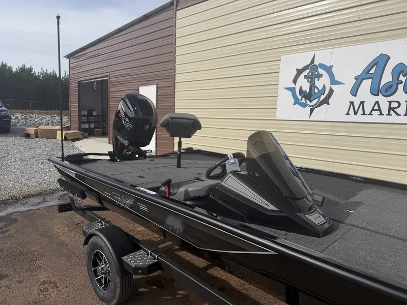 Slide: The Image of Lowe Stinger 195 2026 - 5