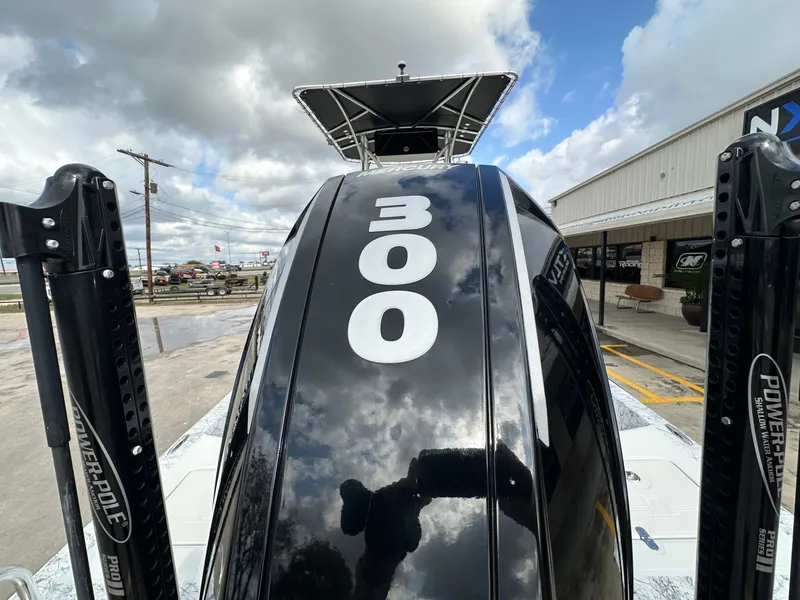 Slide: The Image of Dargel Kat 250HDX 2021 - 41