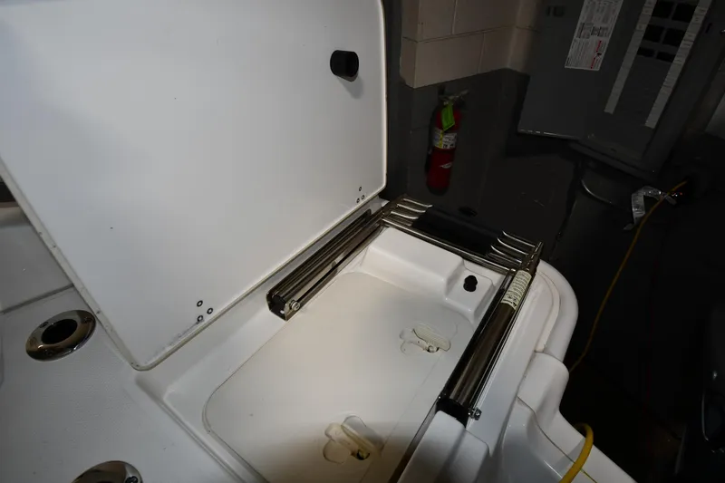 Slide: The Image of 2022 Boston Whaler 250 Dauntless boat compartment with ladder and storage. - 47