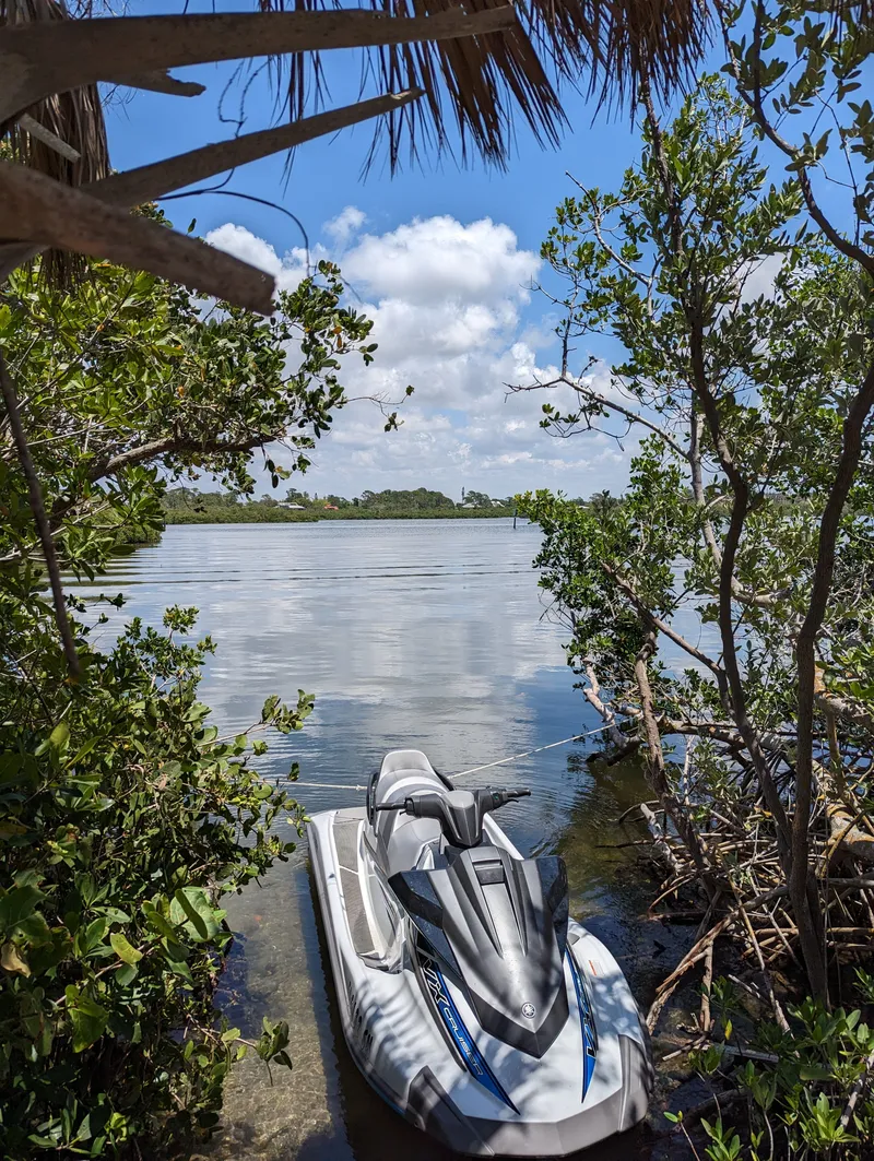 Slide: The Image of 2019 Yamaha WaveRunner VX Cruiser on a serene lake surrounded by lush greenery. - 5