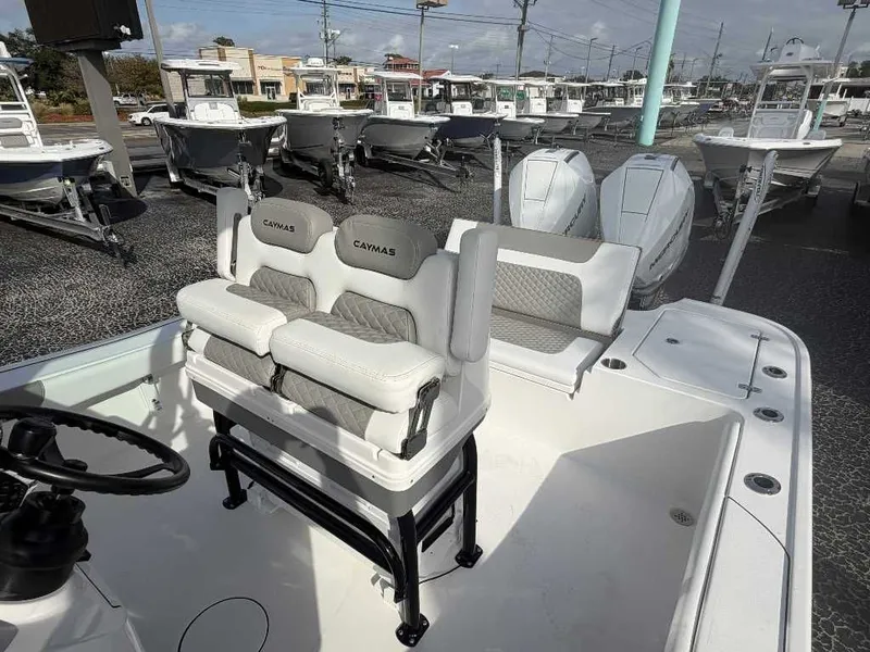 Slide: The Image of Caymas 281 HB 2025 - 8