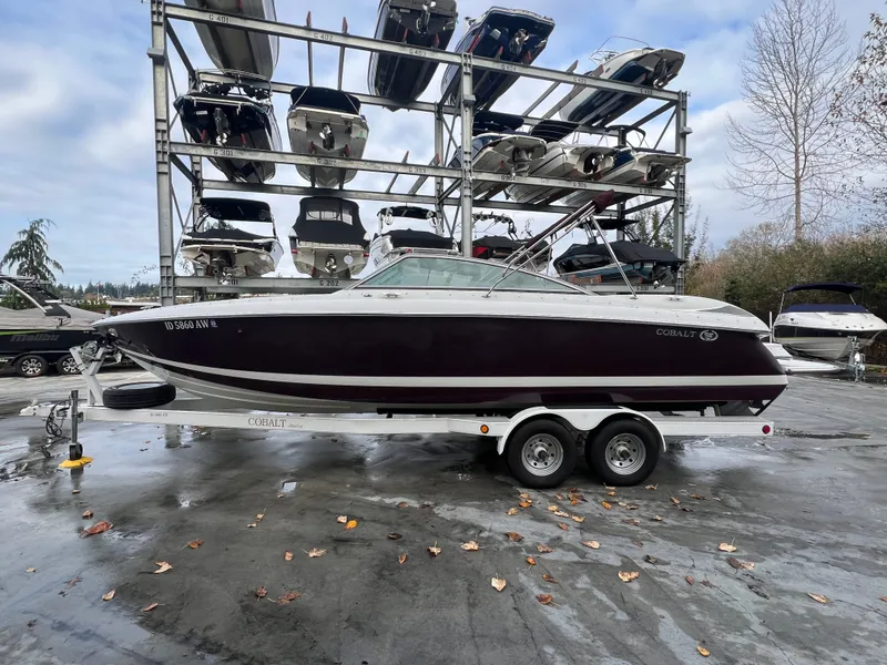 The Image of Cobalt 272 2005 - 1