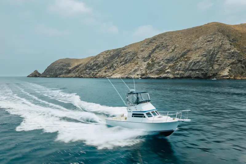 The Image of 1998 Blackman Billfisher 26 cruising near rocky coastline on clear blue water. - 0