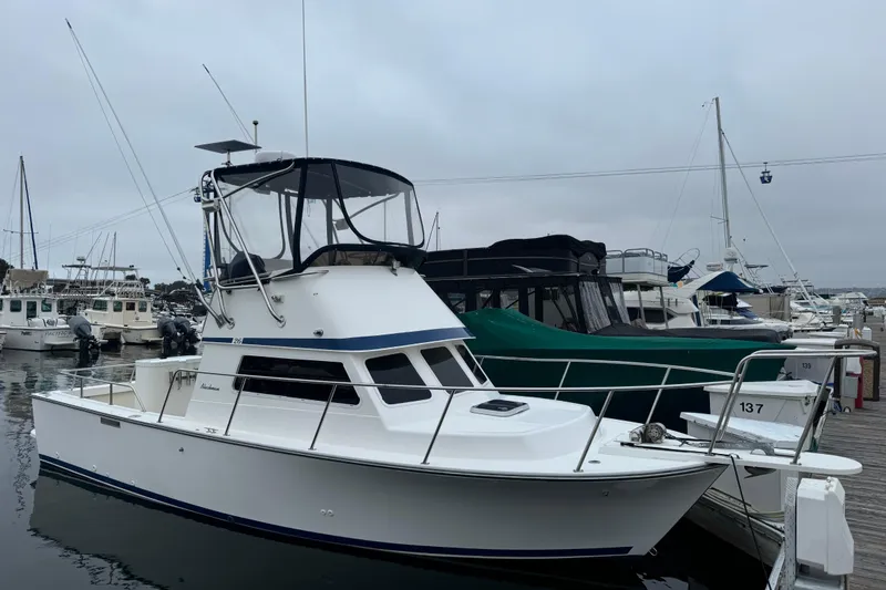 Slide: The Image of 1998 Blackman Billfisher 26 boat docked at a marina on a cloudy day. - 2