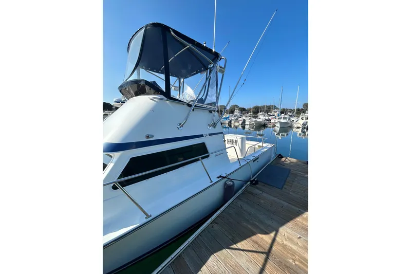 Slide: The Image of 1998 Blackman Billfisher 26 boat docked at marina under clear blue sky. - 5