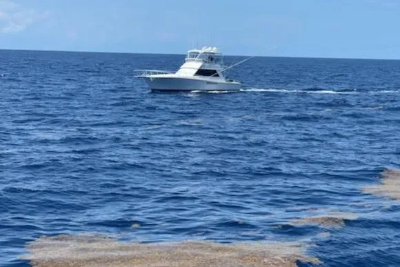 Slide: The Image of 1989 Viking 45 Convertible yacht cruising on open ocean waters. - 34