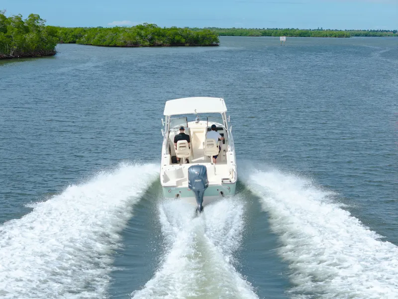 Slide: The Image of 2018 Grady-White Freedom 255 boat cruising on a scenic waterway. - 3
