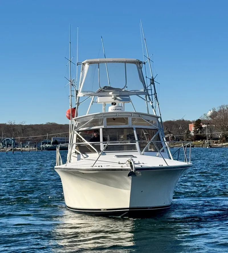 Slide: The Image of Carolina 35 Express 2002 - 7