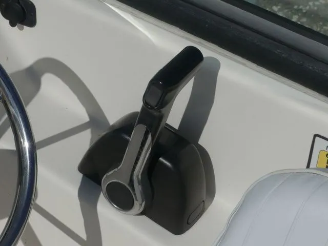 Slide: The Image of Cobia 180 DC 2013 - 17