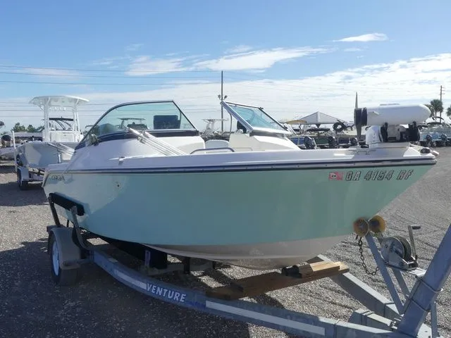 Slide: The Image of Cobia 180 DC 2013 - 3