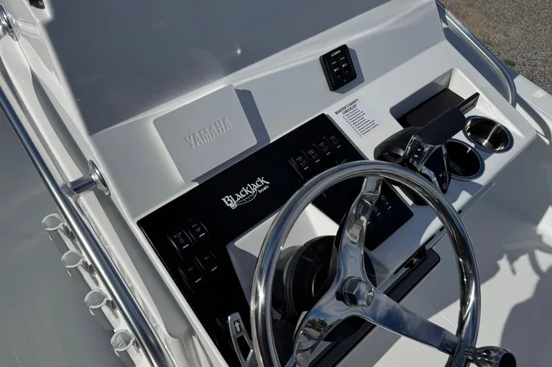 Slide: The Image of 2026 BlackJack 256 Bay boat console with steering wheel and controls. - 15