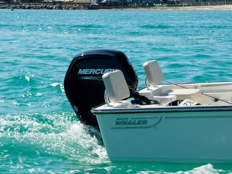 Slide: The Image of Boston Whaler 170 Montauk 2026 - 7