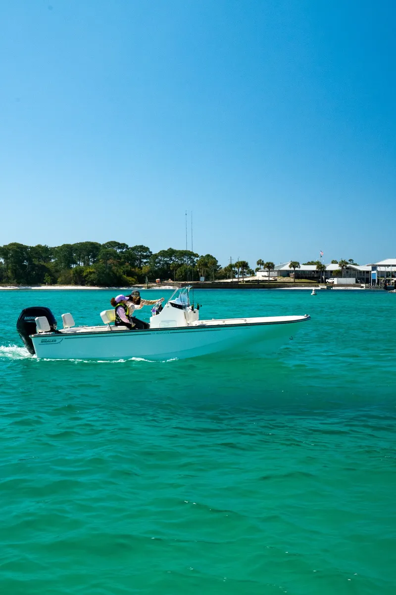 Slide: The Image of Boston Whaler 170 Montauk 2026 - 3