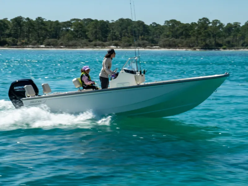 Slide: The Image of Boston Whaler 170 Montauk 2026 - 12