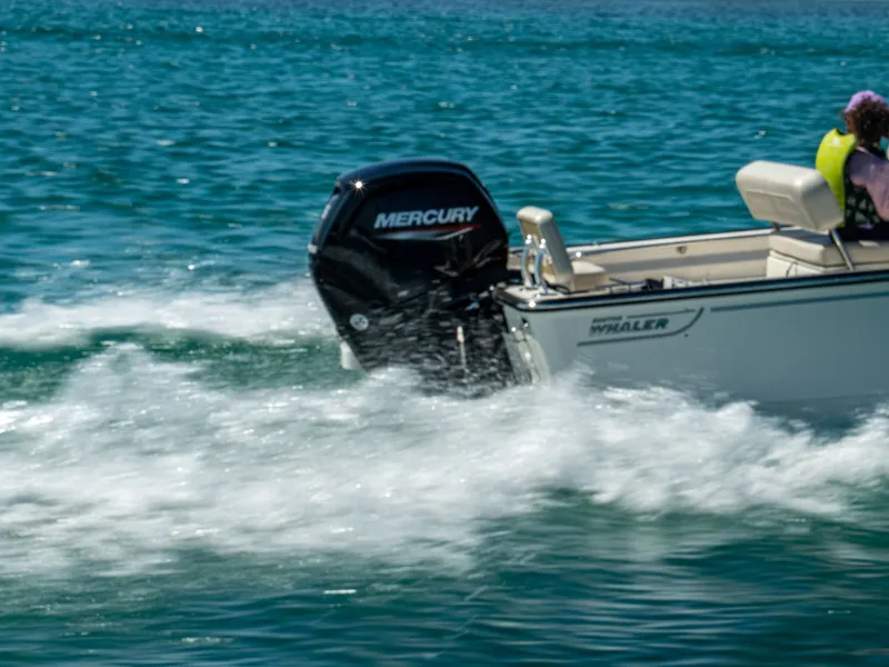 Slide: The Image of Boston Whaler 170 Montauk 2026 - 13