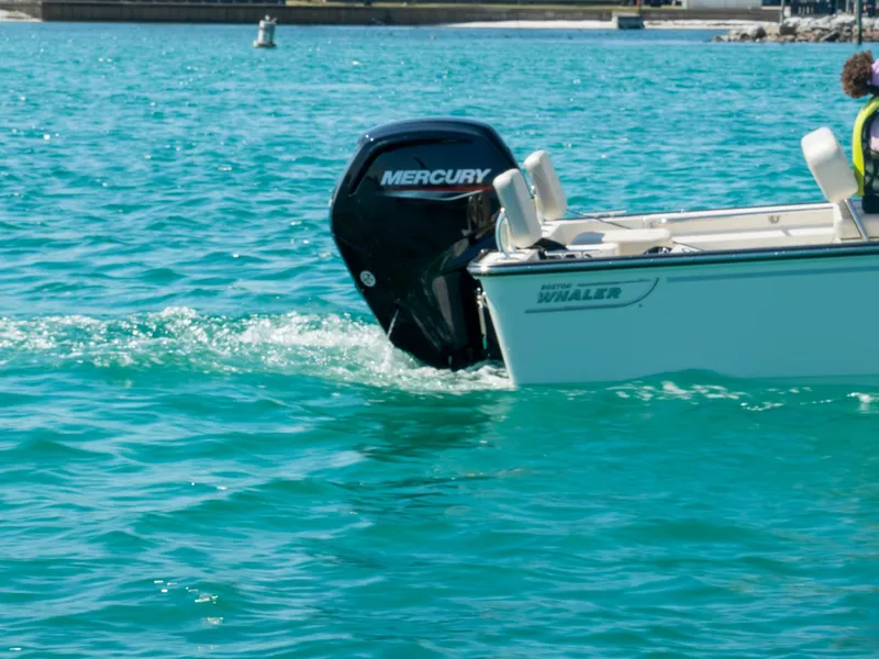 Slide: The Image of Boston Whaler 170 Montauk 2026 - 4