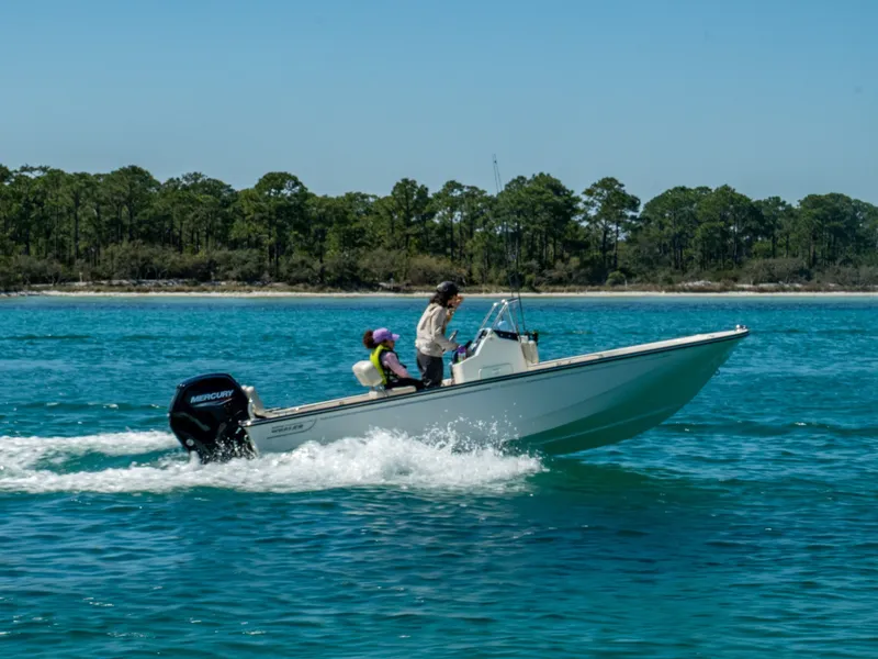 Slide: The Image of Boston Whaler 170 Montauk 2026 - 9