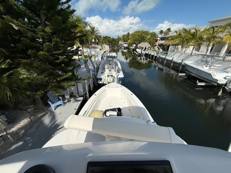 Slide: The Image of Everglades 350 2012 - 6