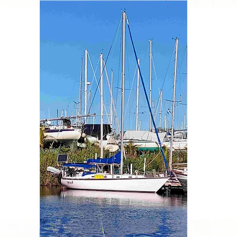 The Image of 37 Tartan at the dock - 0