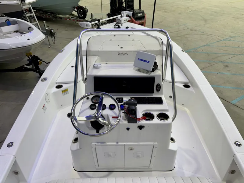 Slide: The Image of Blackjack 224 2013 - 15