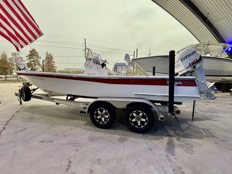 Slide: The Image of Blackjack 224 2013 - 3