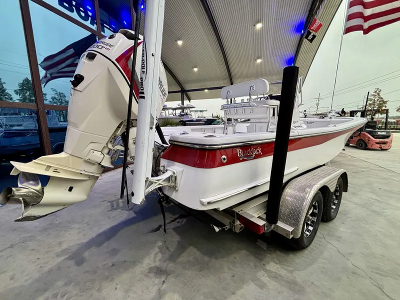 Slide: The Image of Blackjack 224 2013 - 5