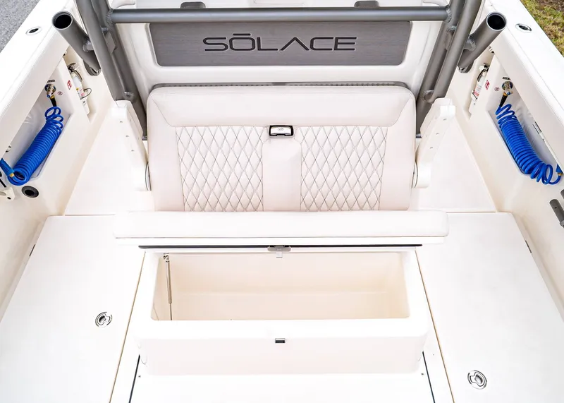 Slide: The Image of Solace 30 CS 2026 - 8