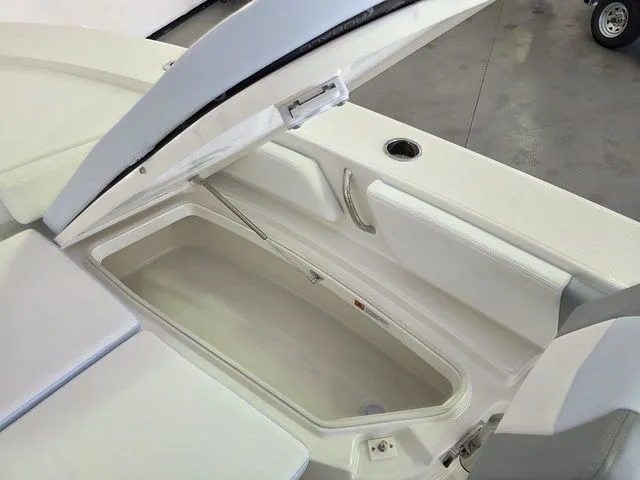 Slide: The Image of Robalo 246 Cayman 2026 - 28