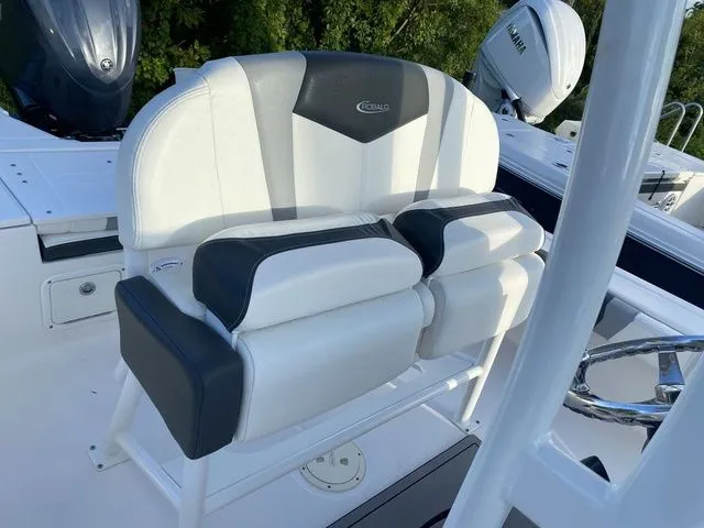 Slide: The Image of Robalo 246 Cayman 2023 - 22