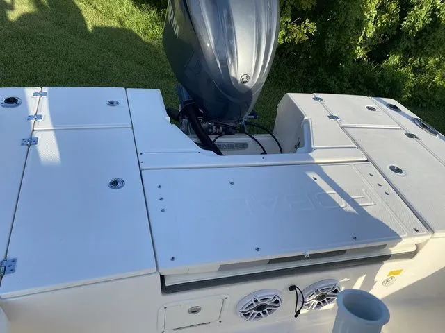 Slide: The Image of Robalo 246 Cayman 2023 - 27