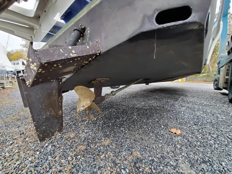 Slide: The Image of Giorgi 46 1993 - 75