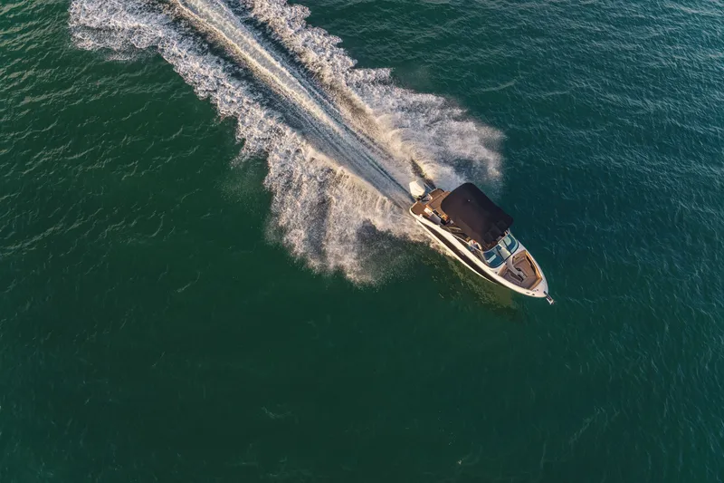 Slide: The Image of Sea Ray SLX 260 Outboard 2026 - 49