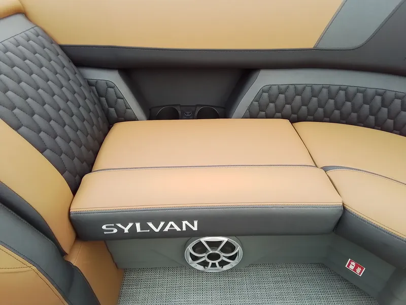 Slide: The Image of Sylvan L-3 CLZ 2026 - 14