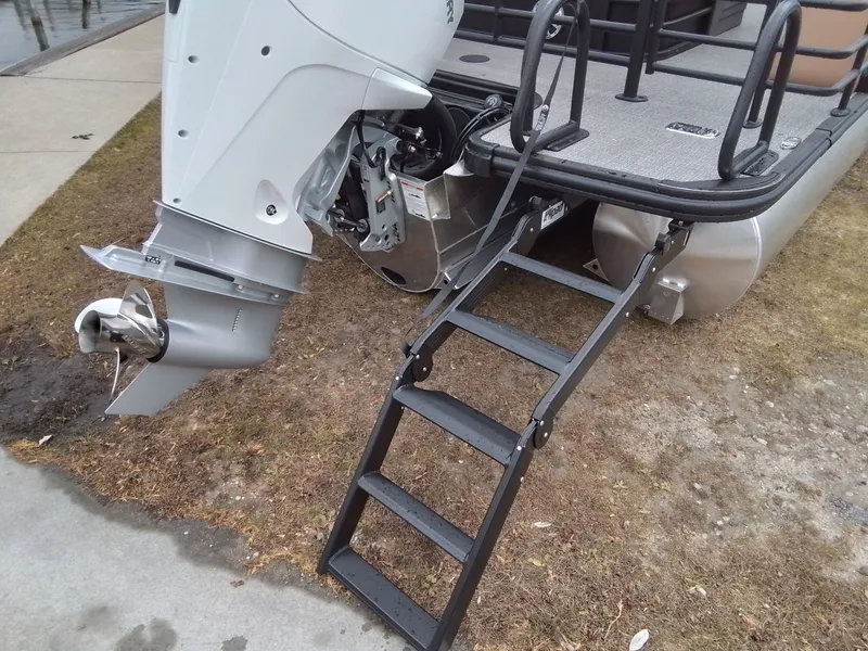 Slide: The Image of Sylvan L-3 CLZ 2026 - 6