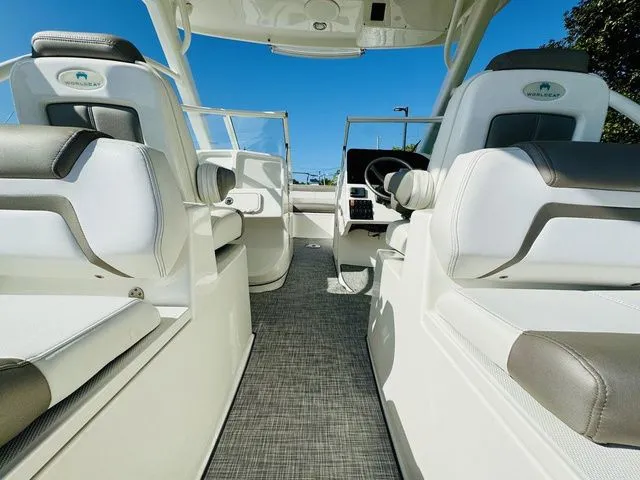 Slide: The Image of World Cat 255 DC 2020 - 10