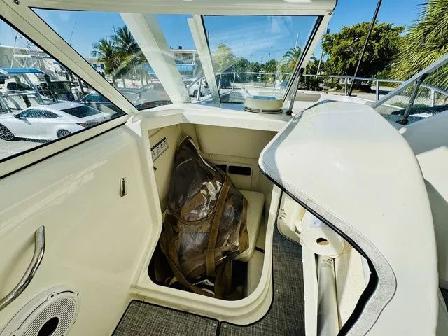 Slide: The Image of World Cat 255 DC 2020 - 15