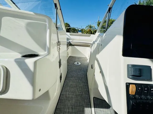 Slide: The Image of World Cat 255 DC 2020 - 16