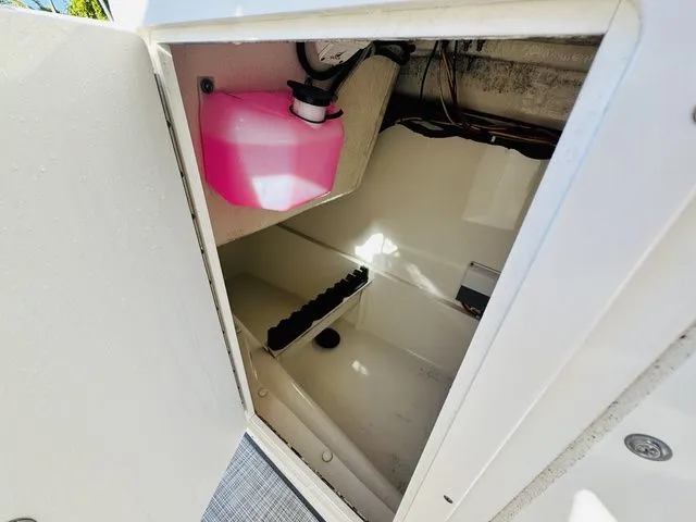 Slide: The Image of World Cat 255 DC 2020 - 18