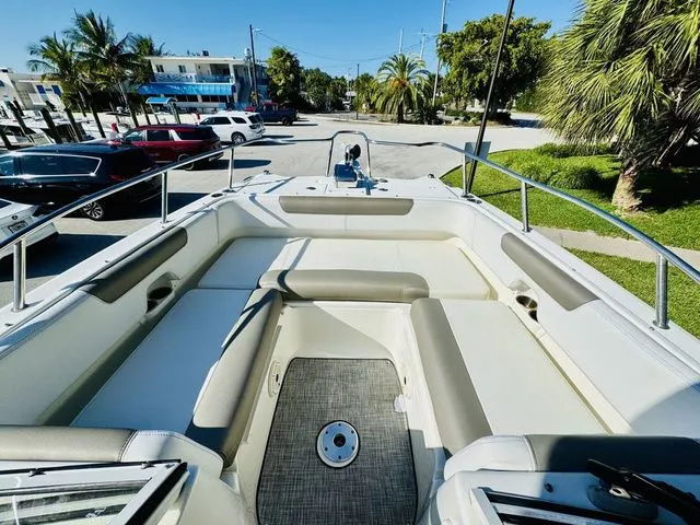 Slide: The Image of World Cat 255 DC 2020 - 19